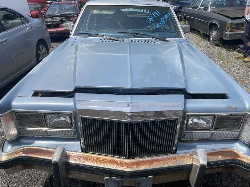 Grille Fits 77-80 VERSAILLES 1354066 - Image 2 of 4