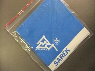 Boy Scout World Jamboree 1975 Subcamp Neckerchief 9546PP