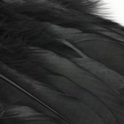 Bild 4 von 8