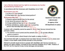 SERVICE DOG INFORMATION  RIGHTS CARDs package of 4