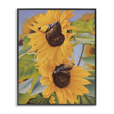 Bird & Sunflowers Plants & Flowers Photography