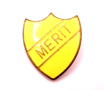 Crest Abzeichen emailliert MERIT Pfadfinder Emailleabzeichen mit Nadel E.S.A
