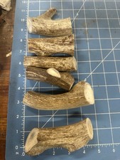 1 Pound Cheap Chews Deer Antler Dog Chew Mix-M/L LOT Bulk Medium SALE