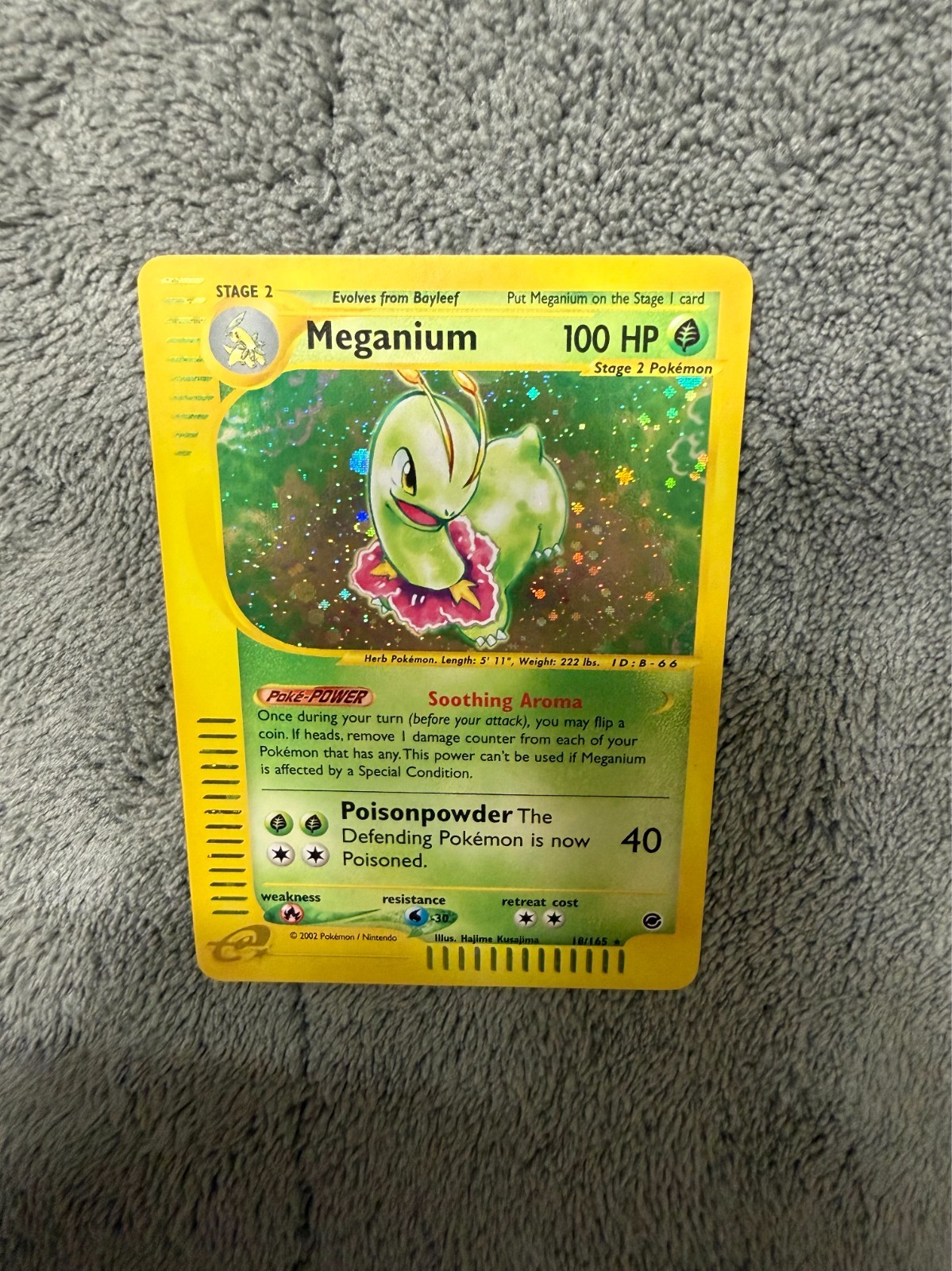 NM Meganium 018/165 Holo Rare 2002 Expedition Pokémon TCG