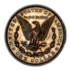 1880-S $1 Morgan Dollar - Semi Proof-Like - Reverse Rainbow Toning - BU - D5626