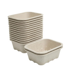 Nutley's Pulp Fibre Fruit Punnets, Biodegradable, Compostable, Recycled 250g