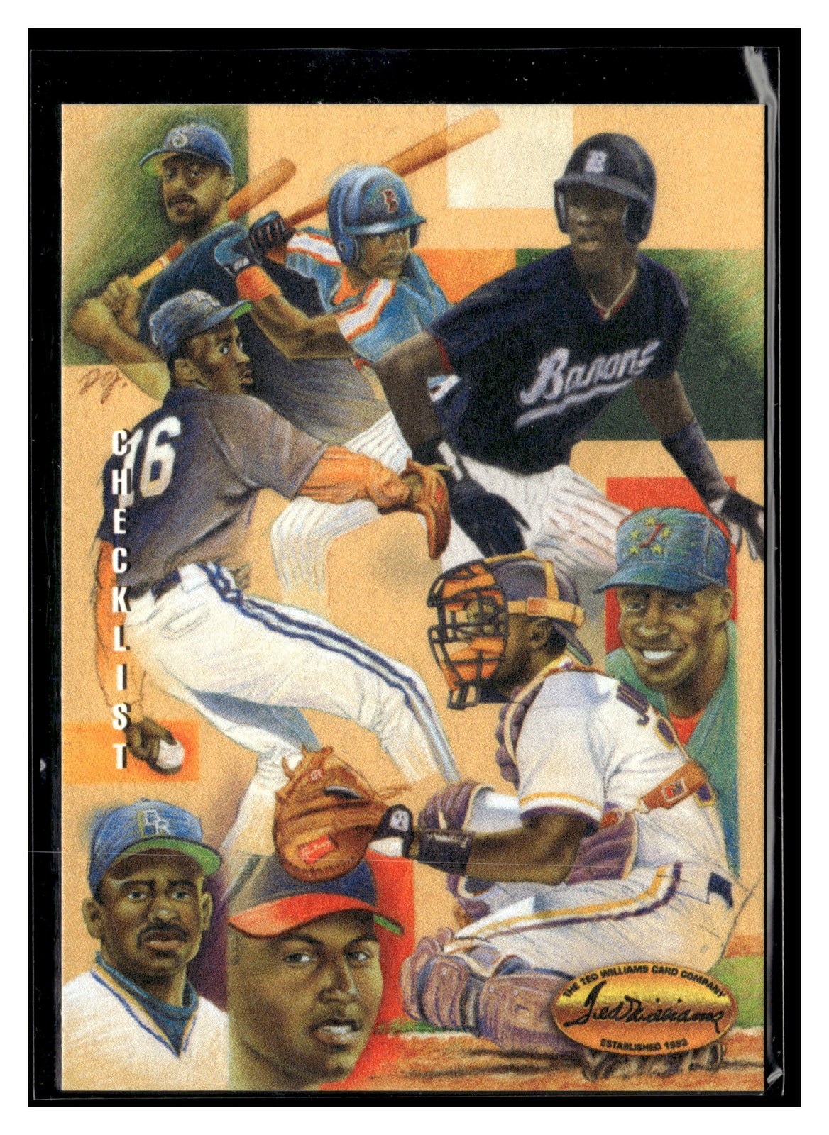 1994 Ted Williams #Dg9 Checklist Dan Gardiner Collection JORDAN