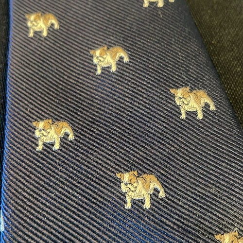 Crewcuts Bulldog 100% Silk Boy's neck Tie - Picture 2 of 4