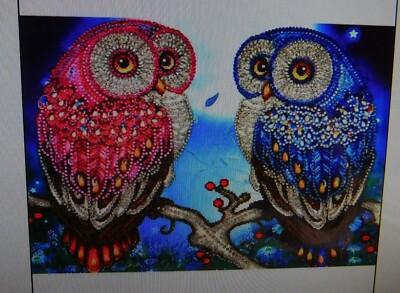 Diamond Painting Kit ''Two Owls'' Special Shaped Beads 15''x 11''  #306455