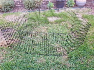 Rabbit 47 Dog Outdoor Playpen Rabbits Gumtree Australia Greater Rabbit Dog Outdoor Playpen
