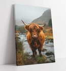 HIGHLAND COW IN SCOTTISH HIGHLANDS -FRAMED CANVAS WALL ART PICTURE PRINT