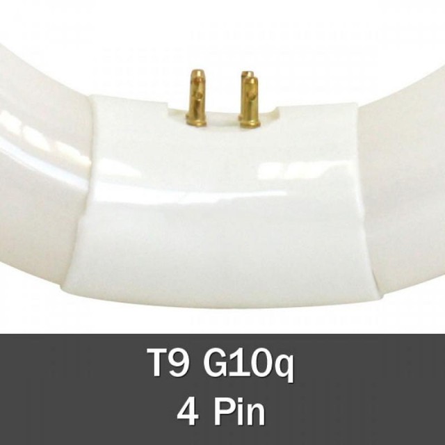 SYLVANIA 32 Watt Colour 865 Daylight G10q Circular Fluorescent Tube T9 01965 for sale online eBay