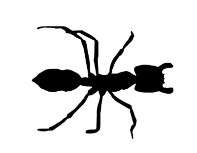 ANT CAR DECAL Sticker vinyl car bike laptop macbook bumber black | eBay ...