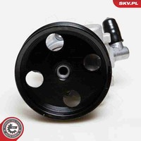 Hydraulikpumpe Lenkung Esen SKV 10SKV039 FüR V251 Klasse W251 Mercedes W164 W221