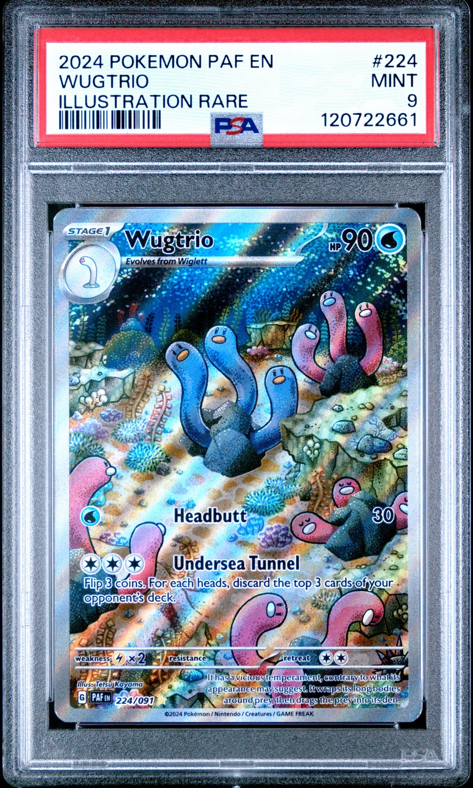 Wugtrio #224