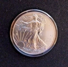 2014 Silver American Silver Eagle $1 Brilliant Uncirculated
