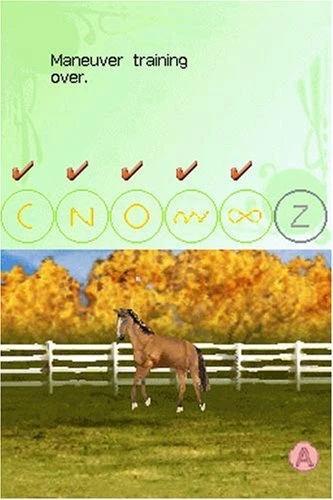 My horse and 2024 me nintendo ds