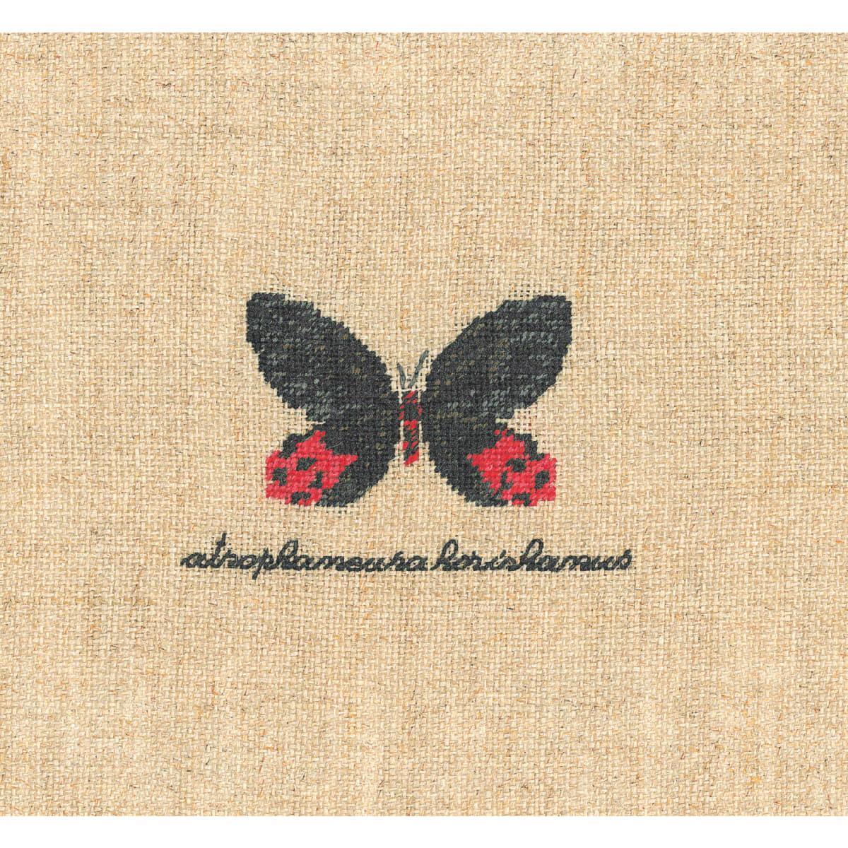 Le Bonheur des Dames counted petit point kit ""Black And Red Butterfly Miniature""