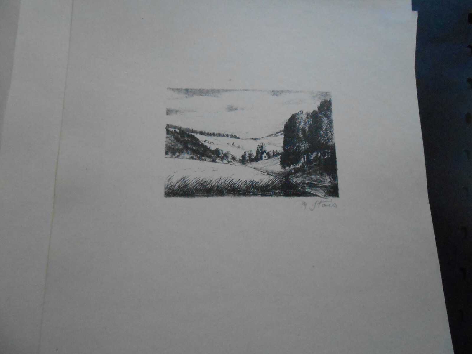 Bild 11 von 14