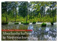 Niedersachsens Moorlandschaften - Das Pietzmoor, Schneverdingen (Wandkalender 20
