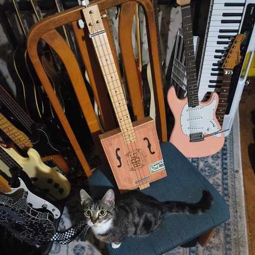 BBG No.5 3-String Cigar Box Guitar