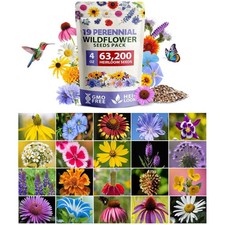 Butterfly & Pollinator Wildflower Seeds - 4 oz Perennial Mix for Gardens 172.68 per gallon