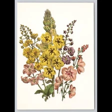 Vintage Postcard Floral 1993 Unposted Flowers Garden Scenic Collectible View