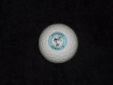 Hickory Hornets, Vice Logo Golf Ball