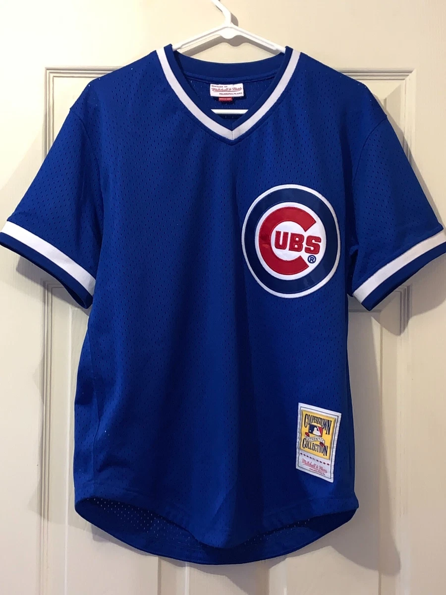 MITCHELL & NESS CHICAGO CUBS JERSEY SIZE M CHEST 22" LENGTH  29" RYNE SANDBERG