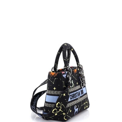 Christian Dior Lady D-Lite Bag Embroidered Canvas Medium | eBay