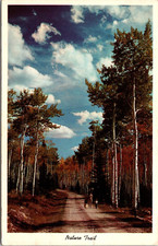 Nature Trail Greetings From Springfield Maine ME 1975 Chrome Postcard B56