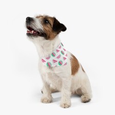 Watermelon Print Pet Bandana Collar