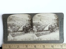 Missouri Farm Stereoview New Germany Co. 1904 St. Louis World's Fair