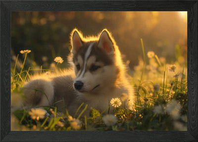 Niedlicher Husky Welpe gerahmtes Wandbild Poster Leinwanddruck Bild