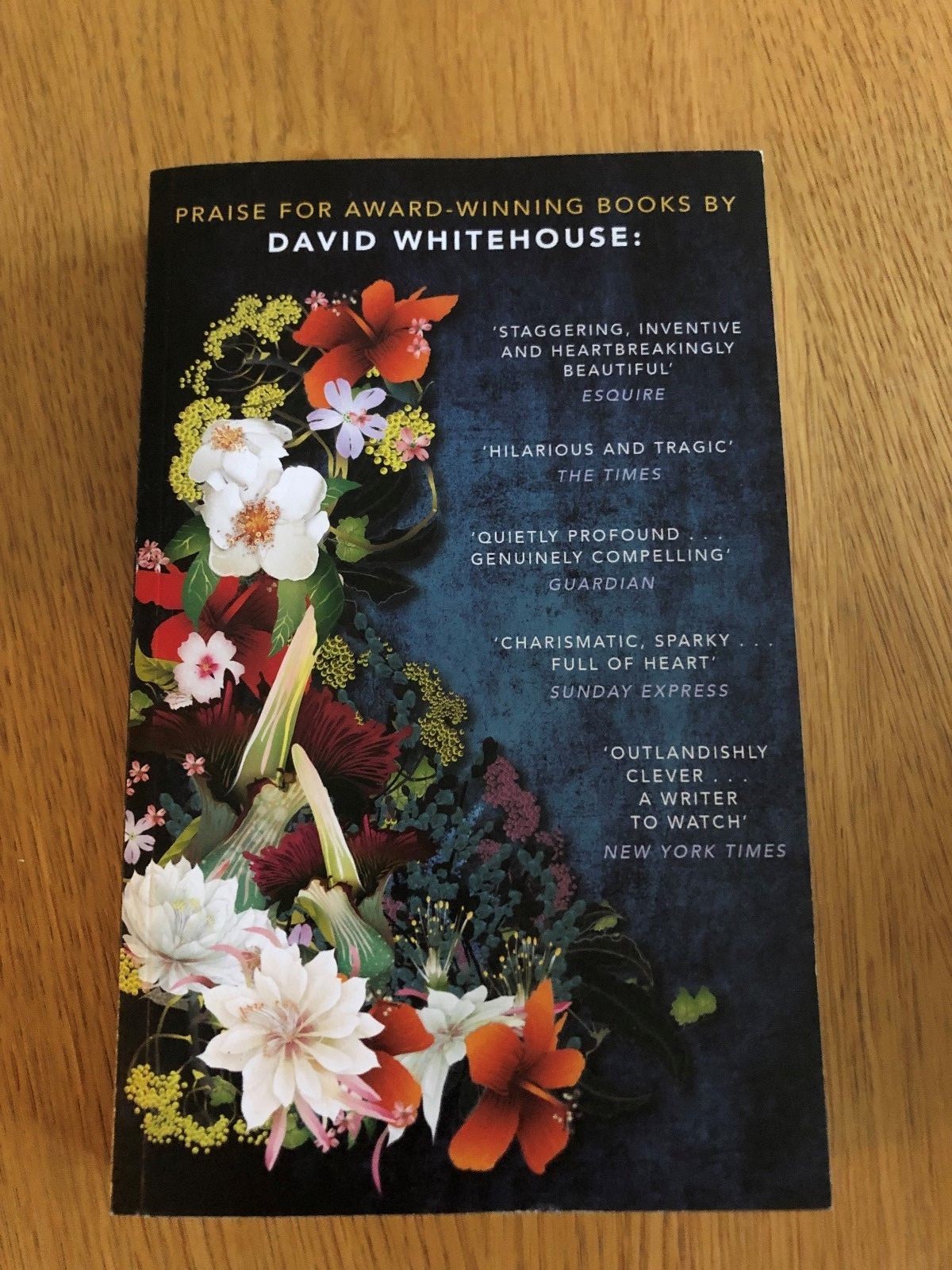 THE LONG FORGOTTEN by DAVID WHITEHOUSE - PICADOR - P/B - *PROOF*