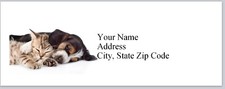 Personalized Address Labels Sleeping Dog and Kitten Bx 215