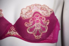 La Perla NWT Pink Embroidered Mesh Strapless Bra &ndash; IT 2 / US 34B