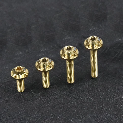 M5 M6 M8x15/20/25/30mm Titanschrauben Ti CNC Fräsen Blume Innen Torx Schrauben - Bild 7 von 8