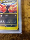 Foto 6 di 10