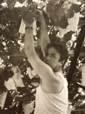 Gay Interest Beefcake Vintage Photo 1970s Muscular Young Man Garden Portrait B&W