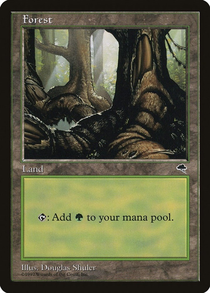 Forest (Pond) [Tempest] MP - Magic