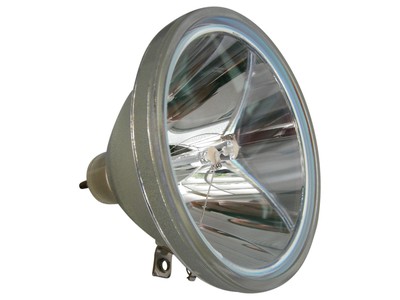 Beamerlampe (nur Leuchtmittel) für BARCO (ersetzt: R9842020, R764225)