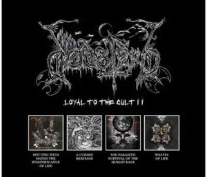 THE CULT CD 10枚セット The Cult CD Box Set | eBay