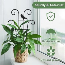 Traliccio bordo giardino alto rampicante supporto piante traliccio piante recinzione barriera