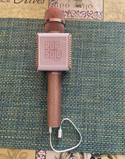 Pink/Rose Gold Handheld Karaoke Microphone, USB Rechargeable, Echo Feature