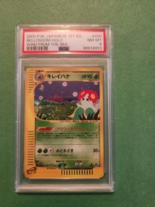 Wind from the Sea Pokemon | eBay Wind from the Sea Pokemon | eBay
