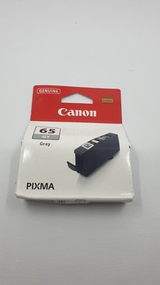 Canon Tinte grau CLI-65GY (4219C001)_0.03_5