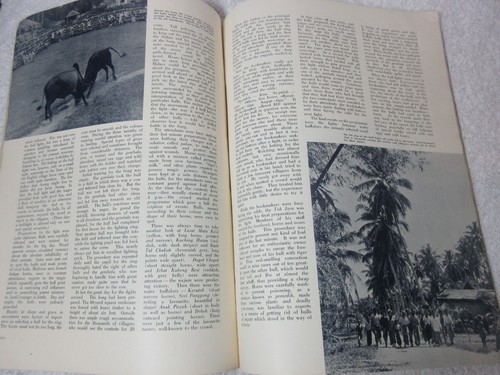Collection of 7 Vintage The Straits Times Annuals, 1950s and 1960s - Picture 4 of 22