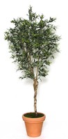 Artplants Kunst Olivenbaum Lorenzo, Echtstamm, FrüChte, Steinguttopf, 150Cm