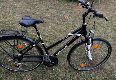 Pegasus Solero Trekkingrad schwarz/weiß Nabenschaltung, Gepäckträger